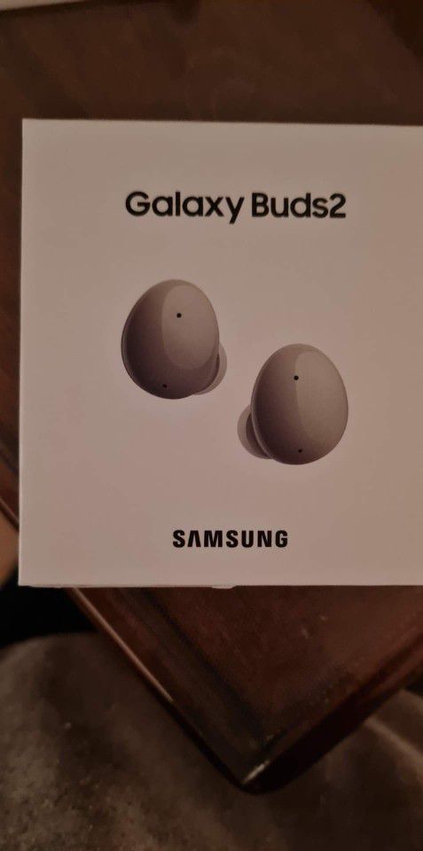 Samsung Ear Buds 2