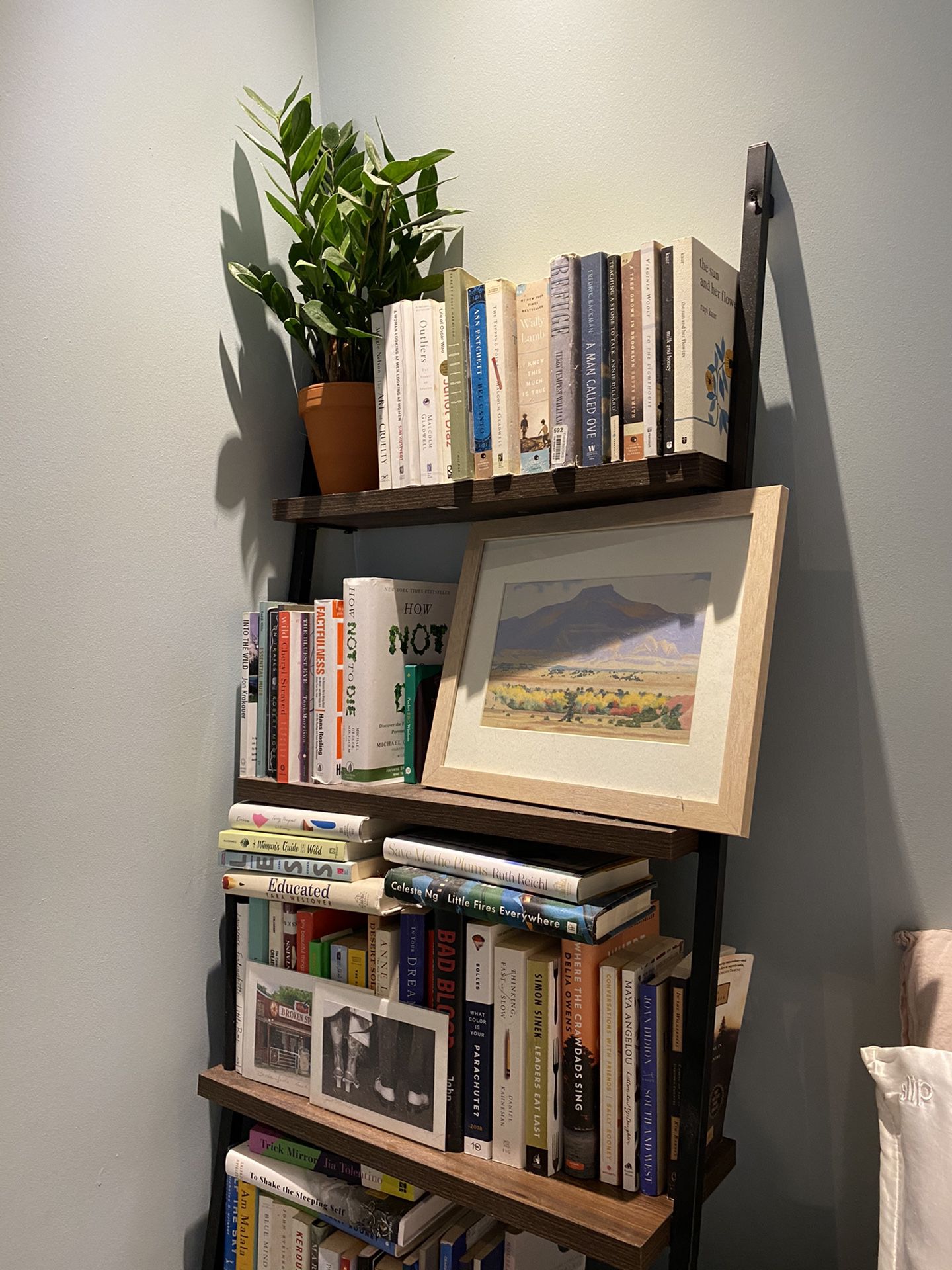 Ladder book shelf