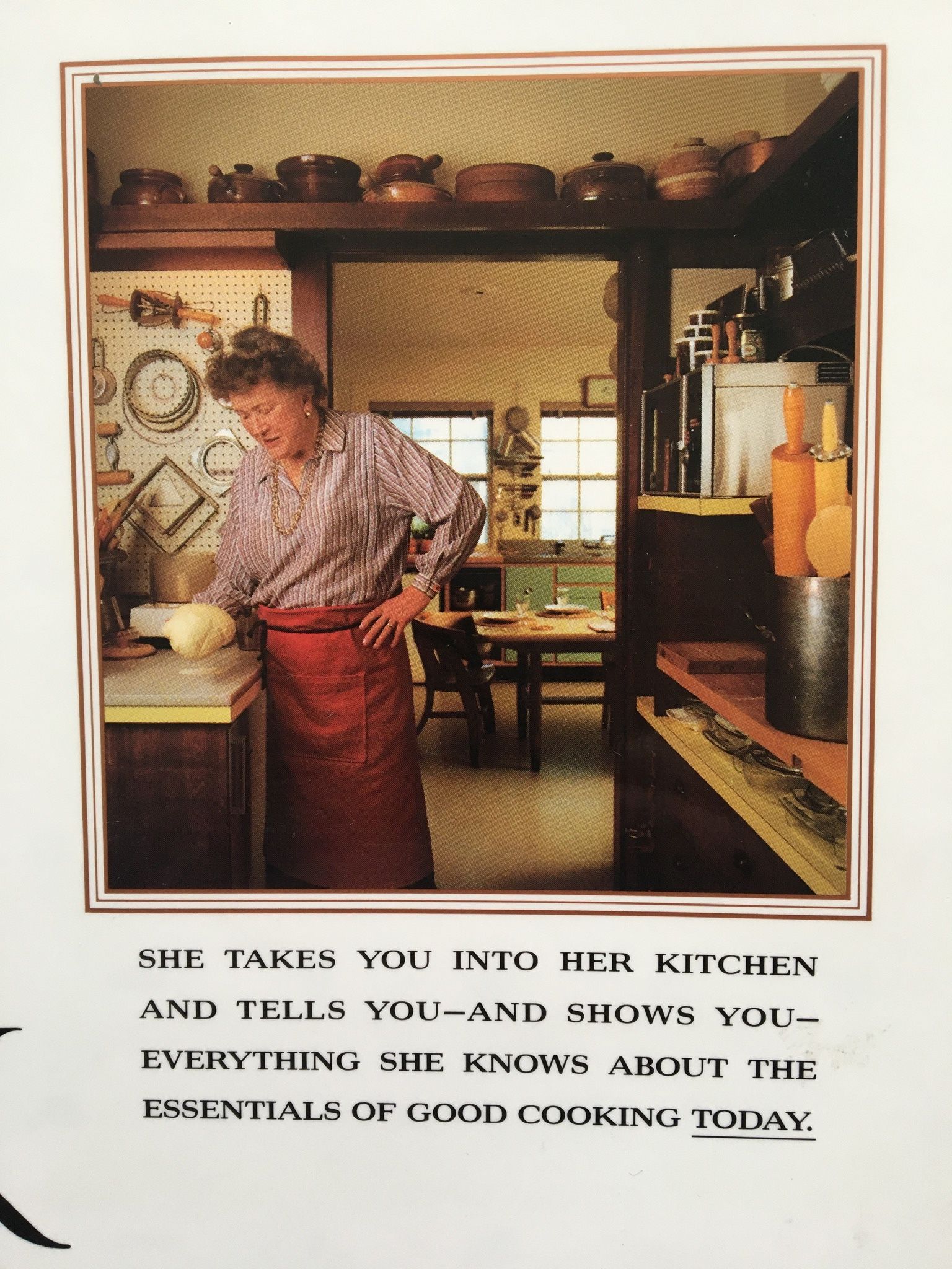Julia Child The Way To Cook, her classic cookbook 1st edition new condition hardcover, over 800 recipes illustrated throughout with over 600 full colo