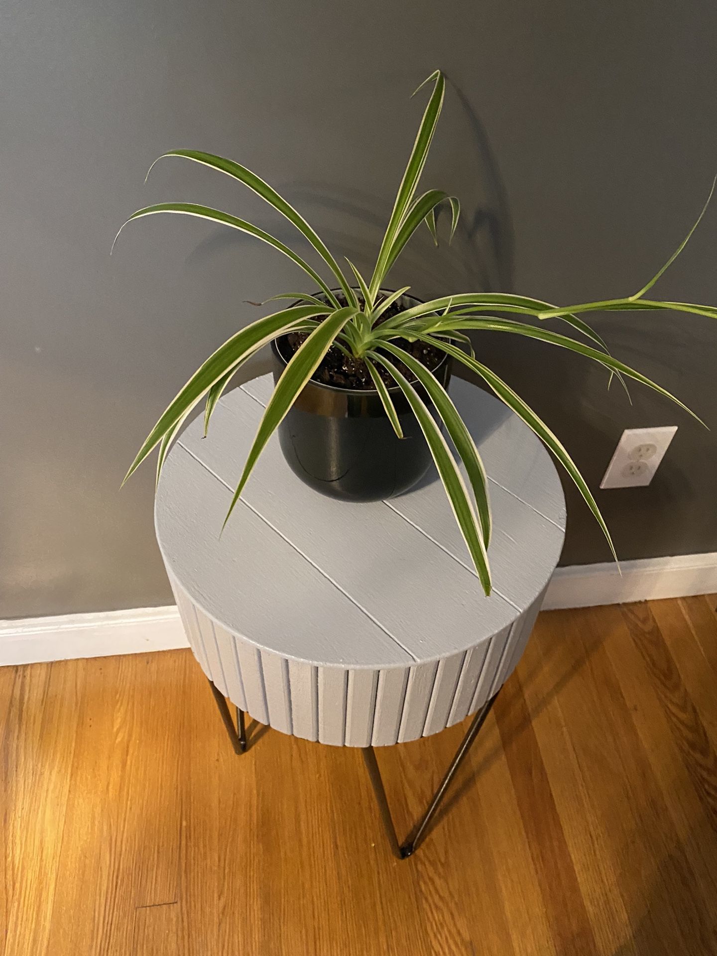 Plant And Stand