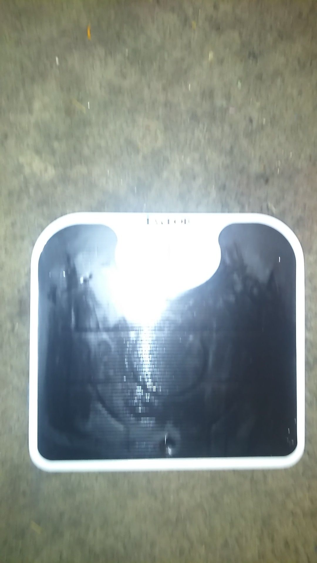 Bathroom Scale