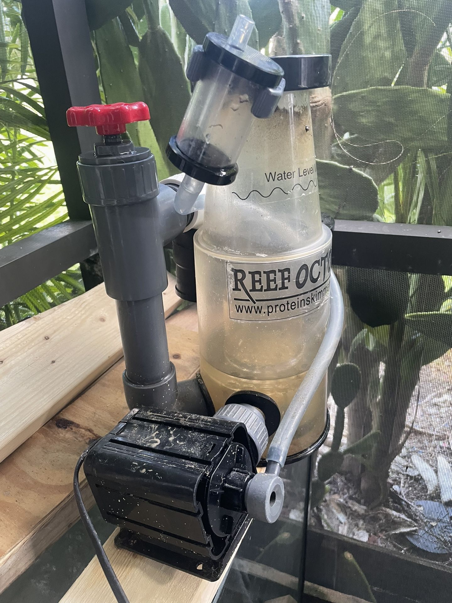 Protein Skimmer