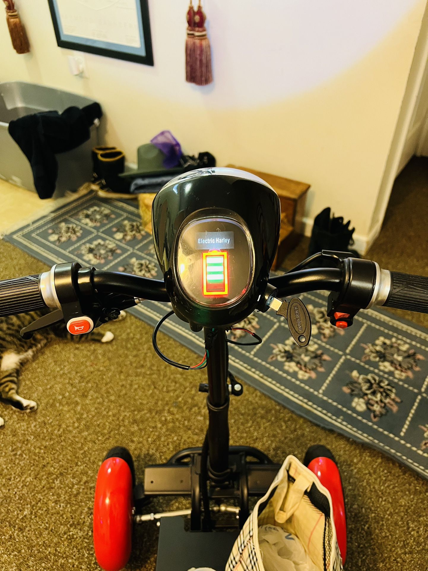 Red Motorized Scooter For Sale 