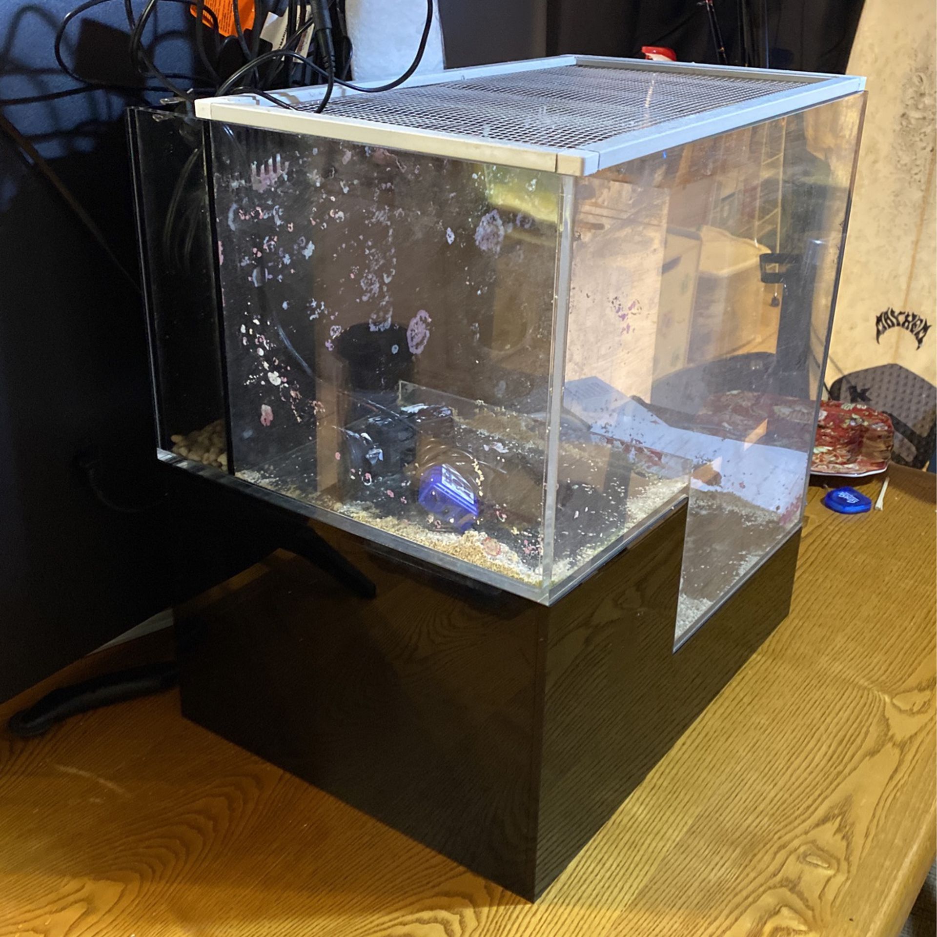 Seapora 20gallon Drop Off All In One Fish Tank And More 