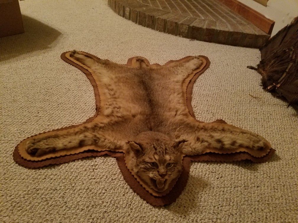 Deer Mounts