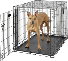 MidWest iCrate Fold & Carry Double Door Collapsible Wire Dog Crate Thumbnail