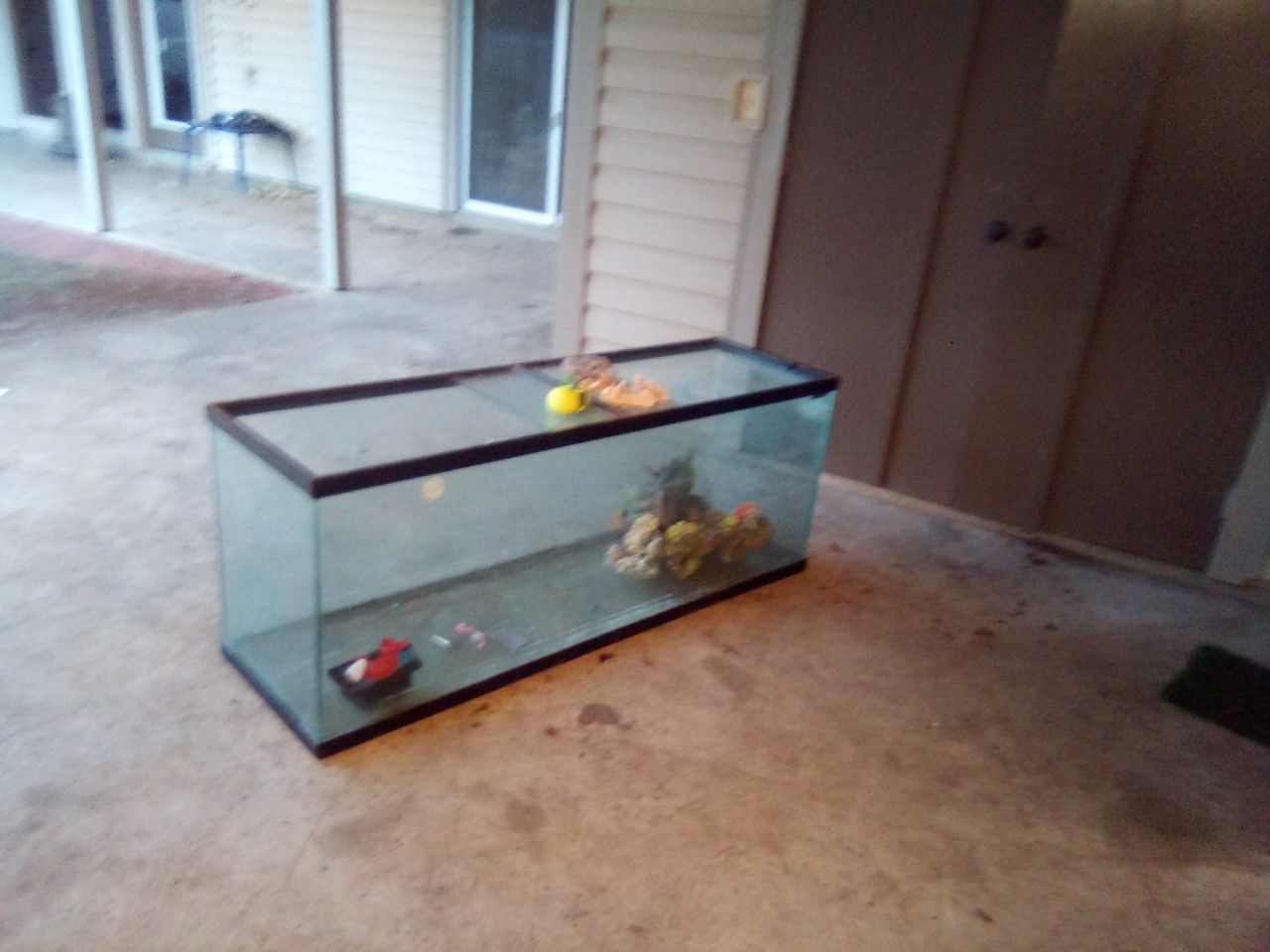 100 gallon aquarium .w)some rock and decoration