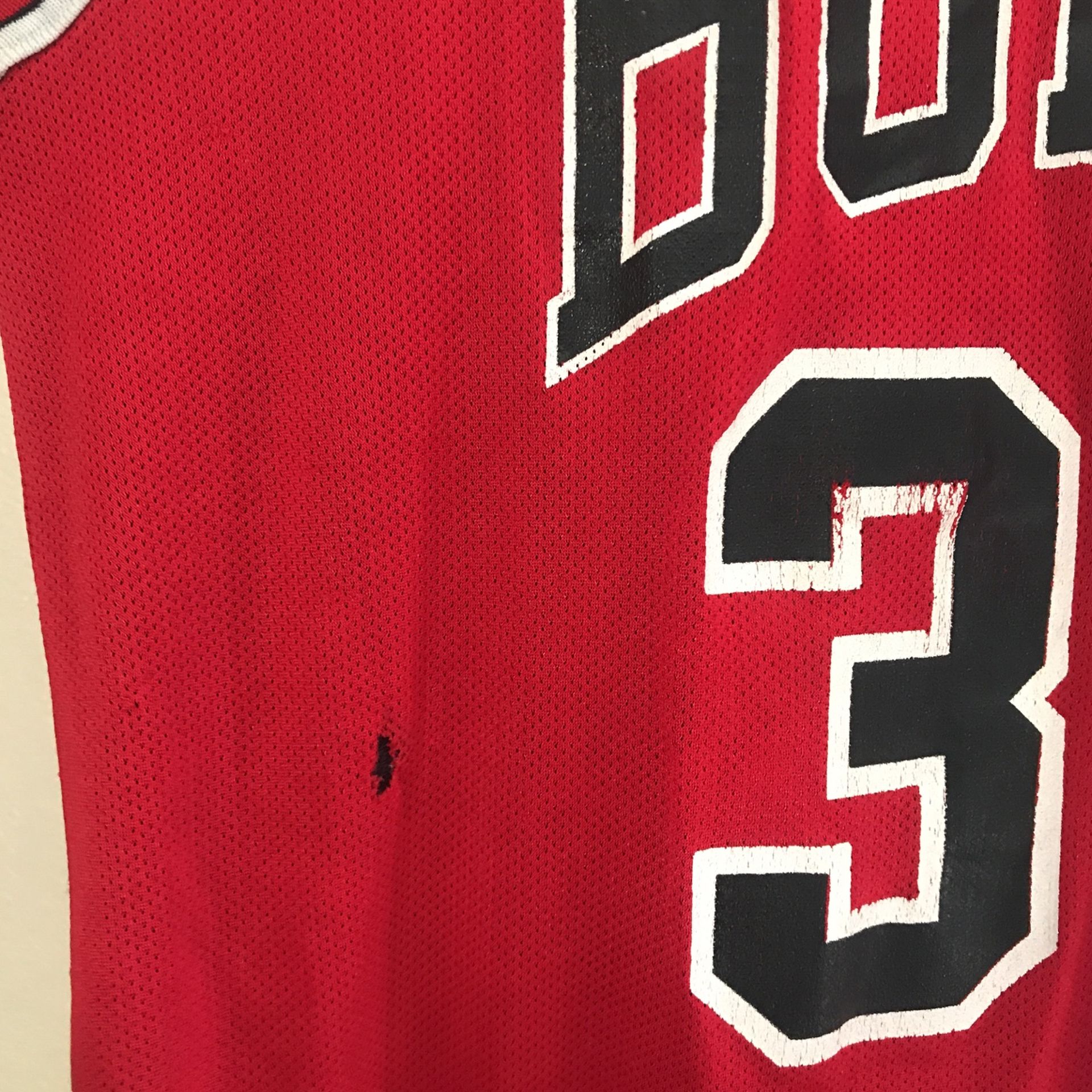 Scottie Pupper Bulls Champion Jersey Reversible