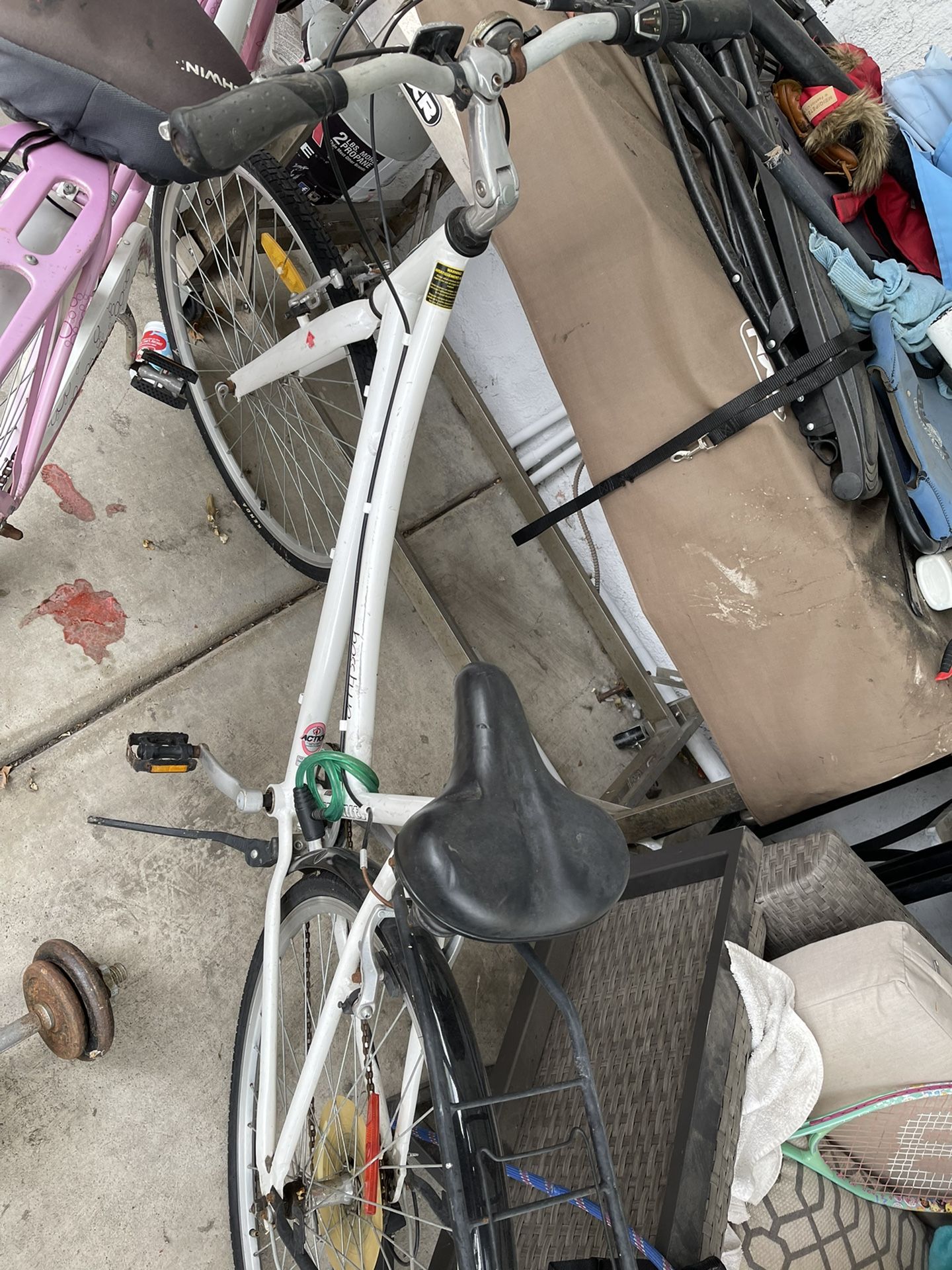 Bicicletea Para Adultos