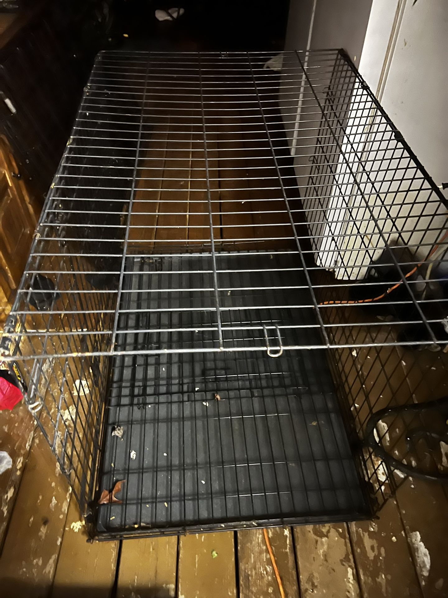 XL Dog Kennel In Very Good Shape