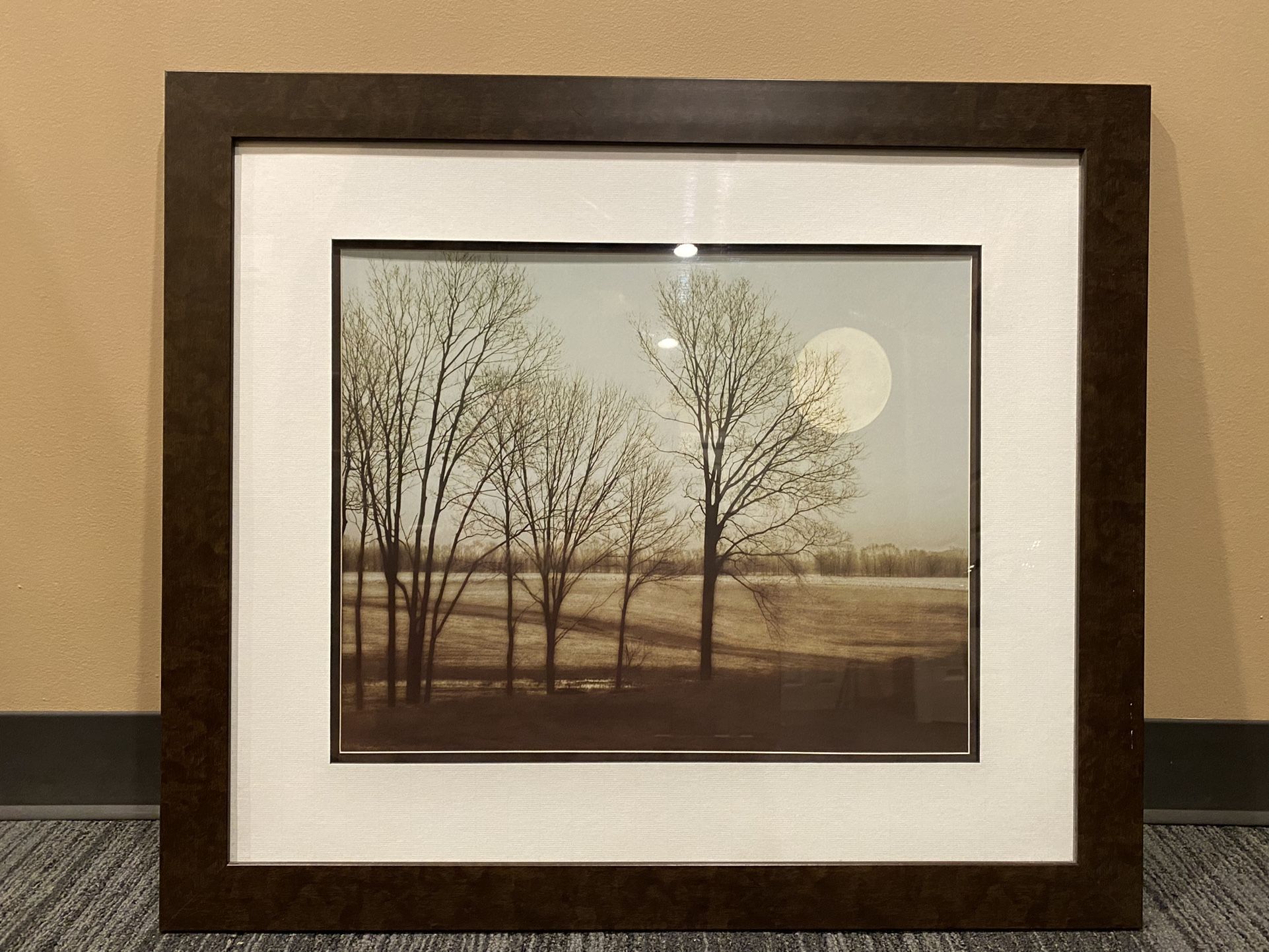 Framed Landscape Art Print