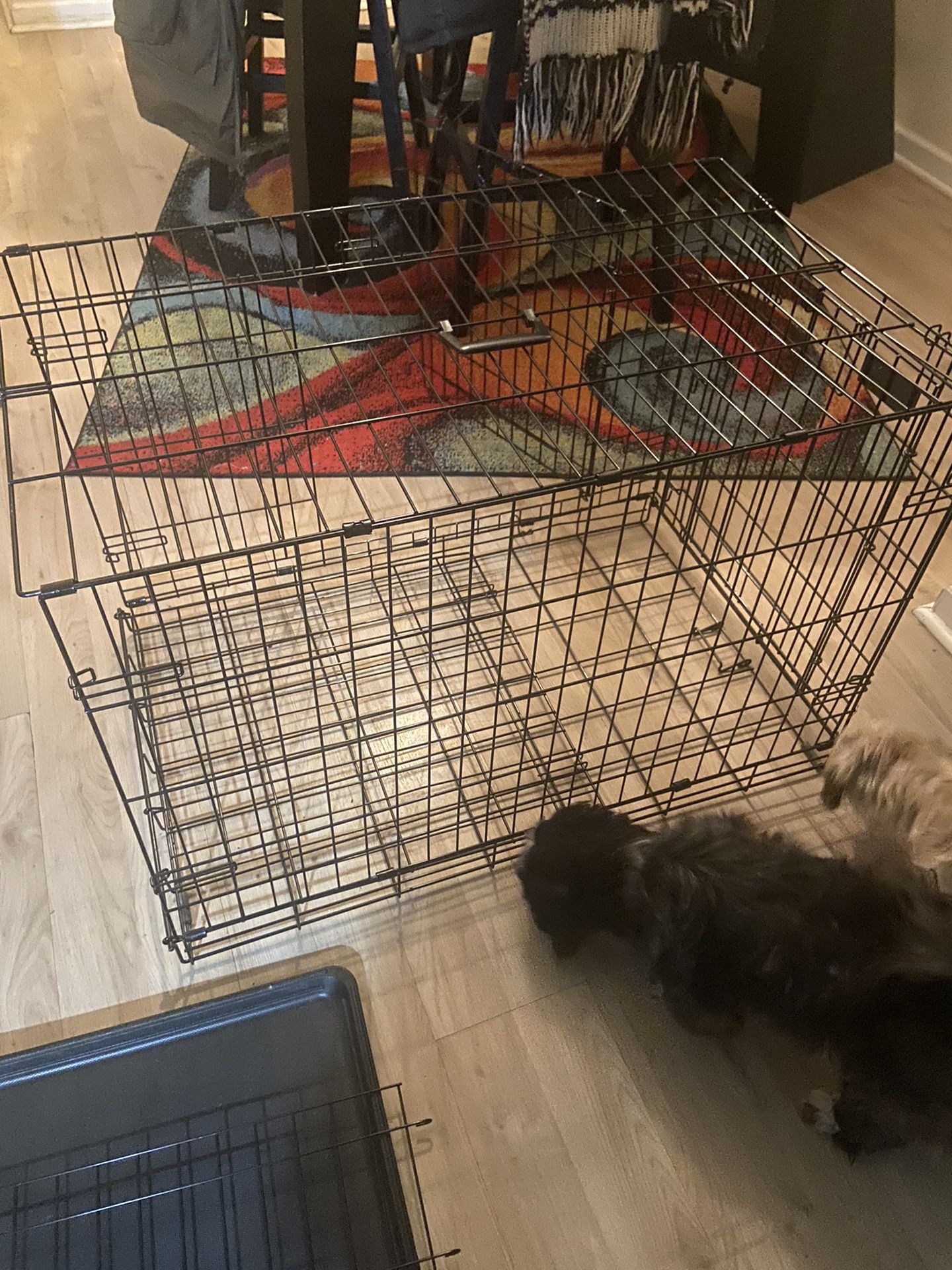 Dog Crate 36” New  36x23x25 With Divider