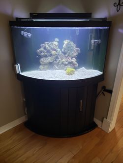 60 gallon corner aquarium tank, stand and lid Thumbnail