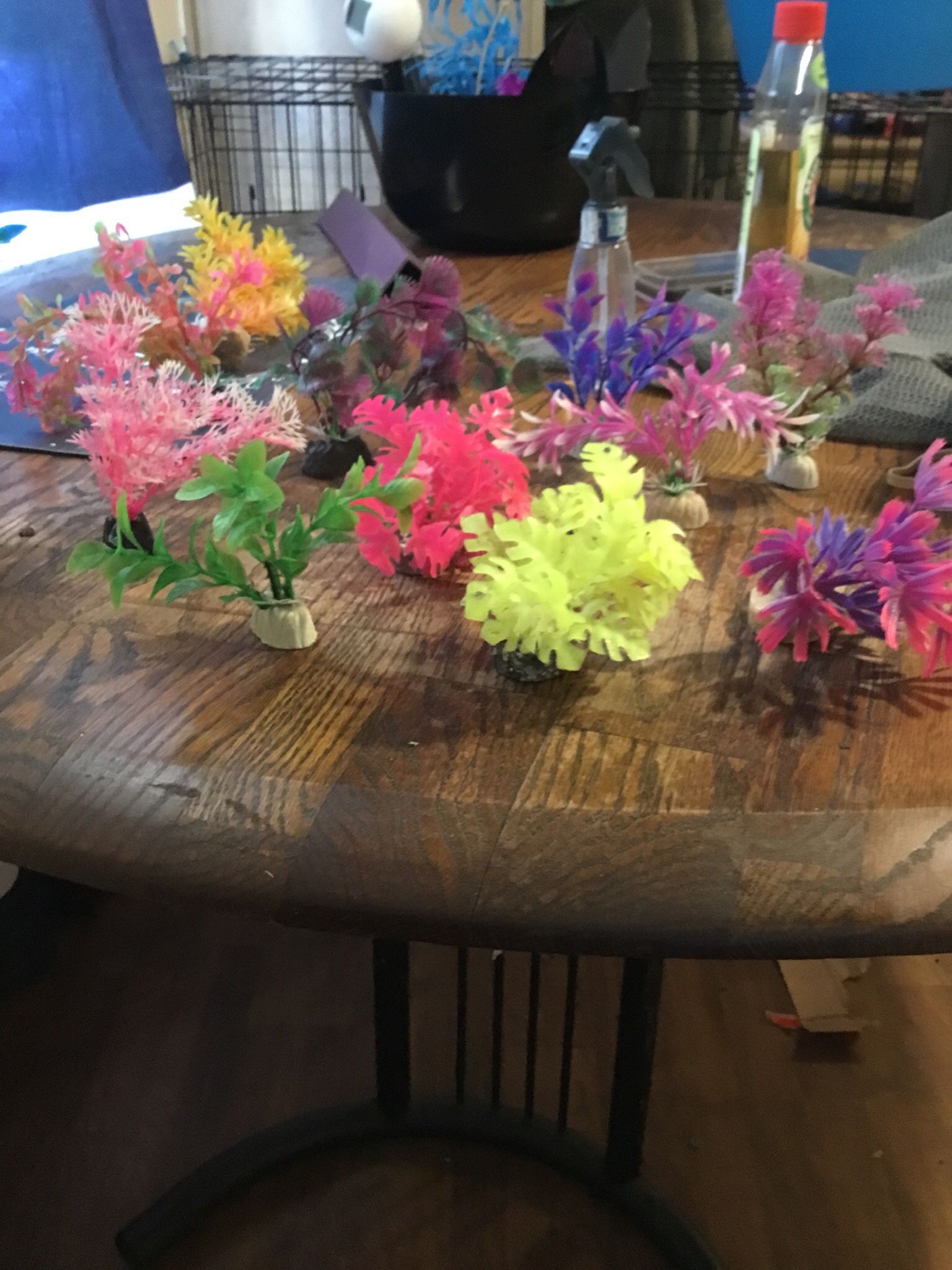 Small Aquarium Decor Plants