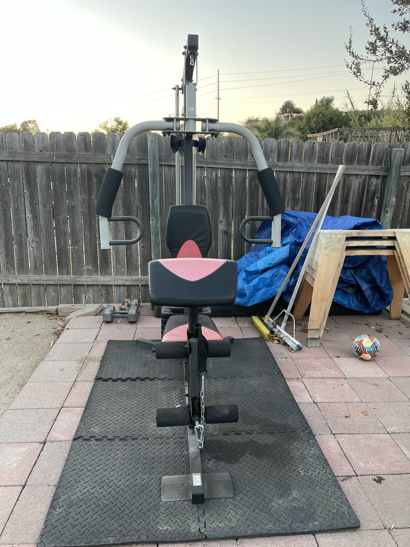 weider 2980 home gym outside on exercise mats