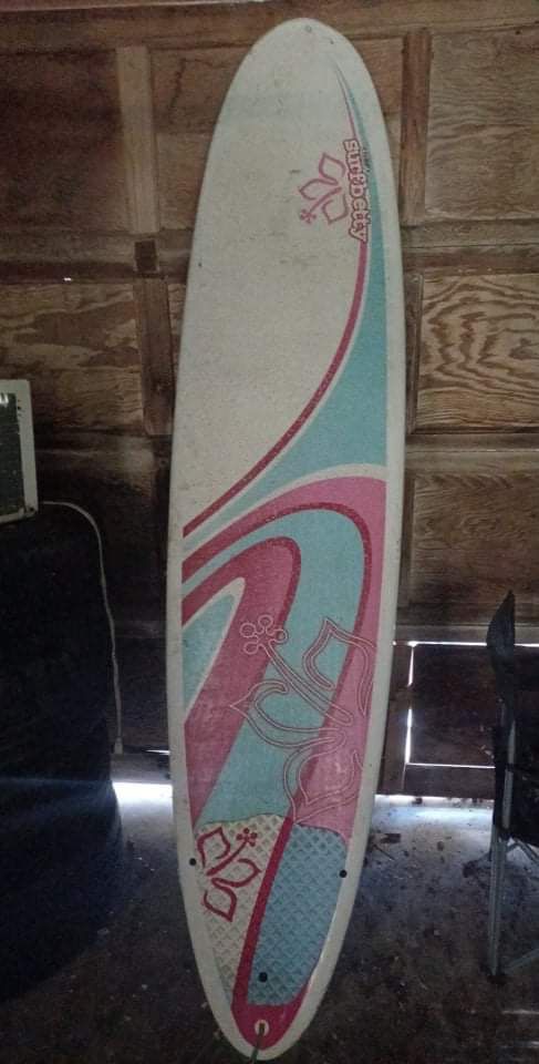 Pink and Blue SurfBetty Surfboard 