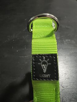 Dog Light-Up Green Color Size Large Thumbnail