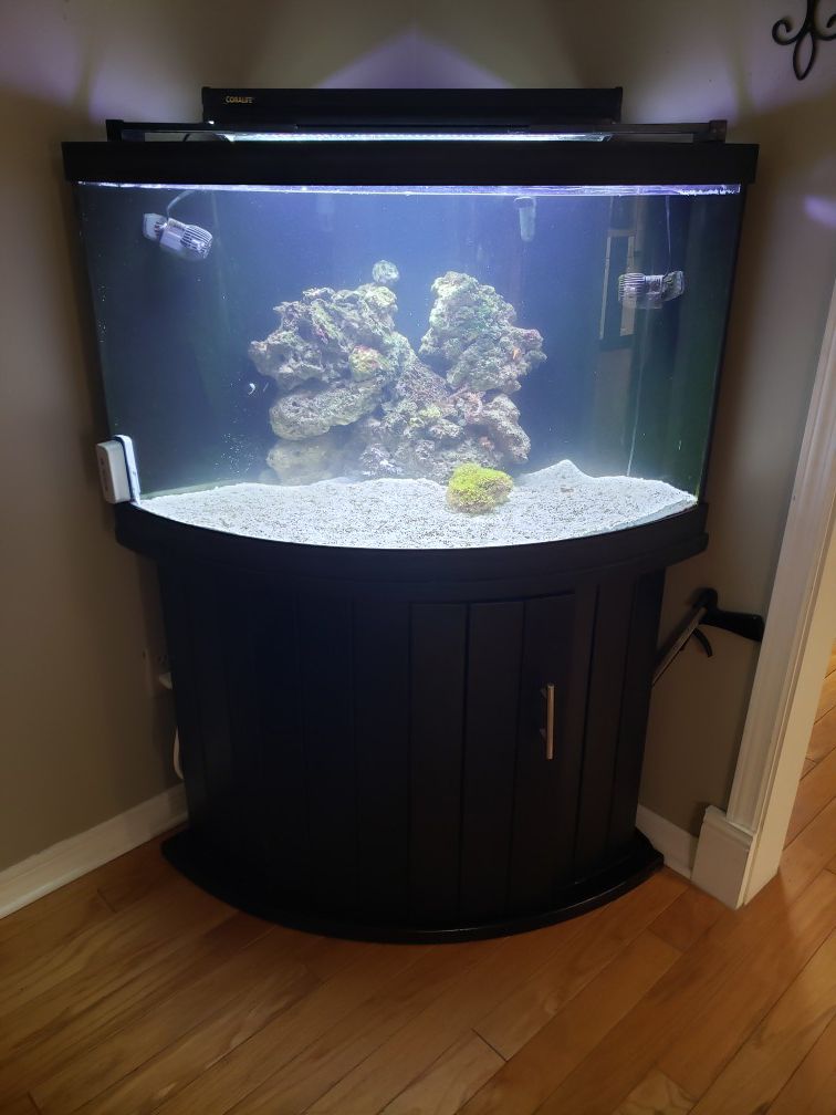 60 gallon corner aquarium tank, stand and lid