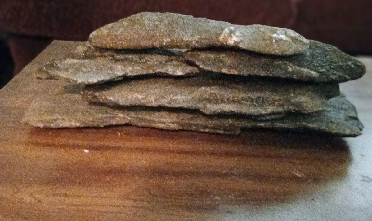 Creek Flat Auquarium, Reptile Rocks