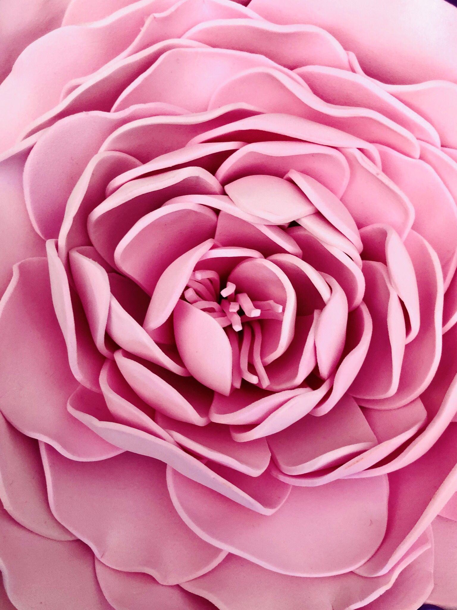 Giant Roses for Wall decor/Backdrop