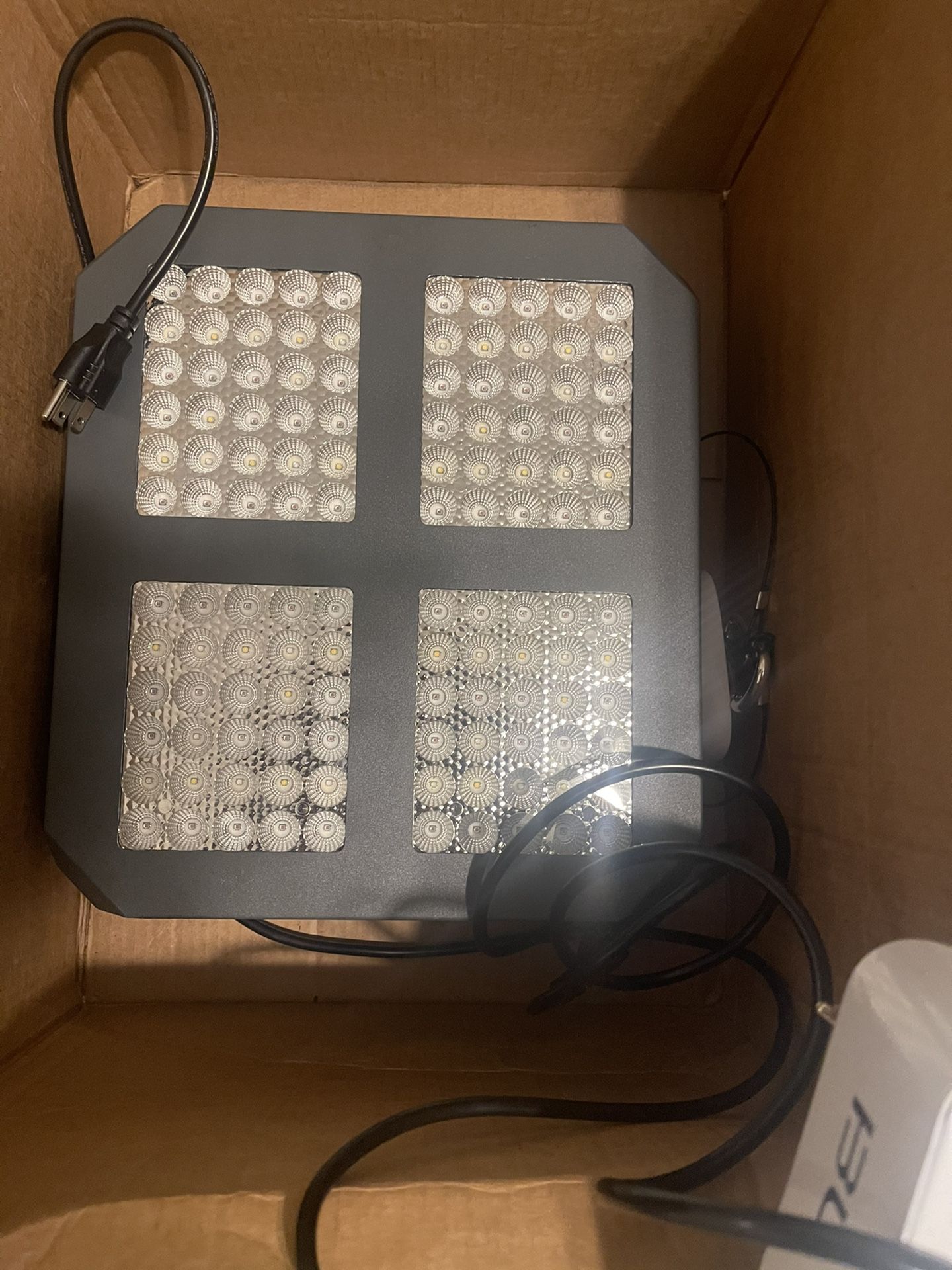Growing Lights