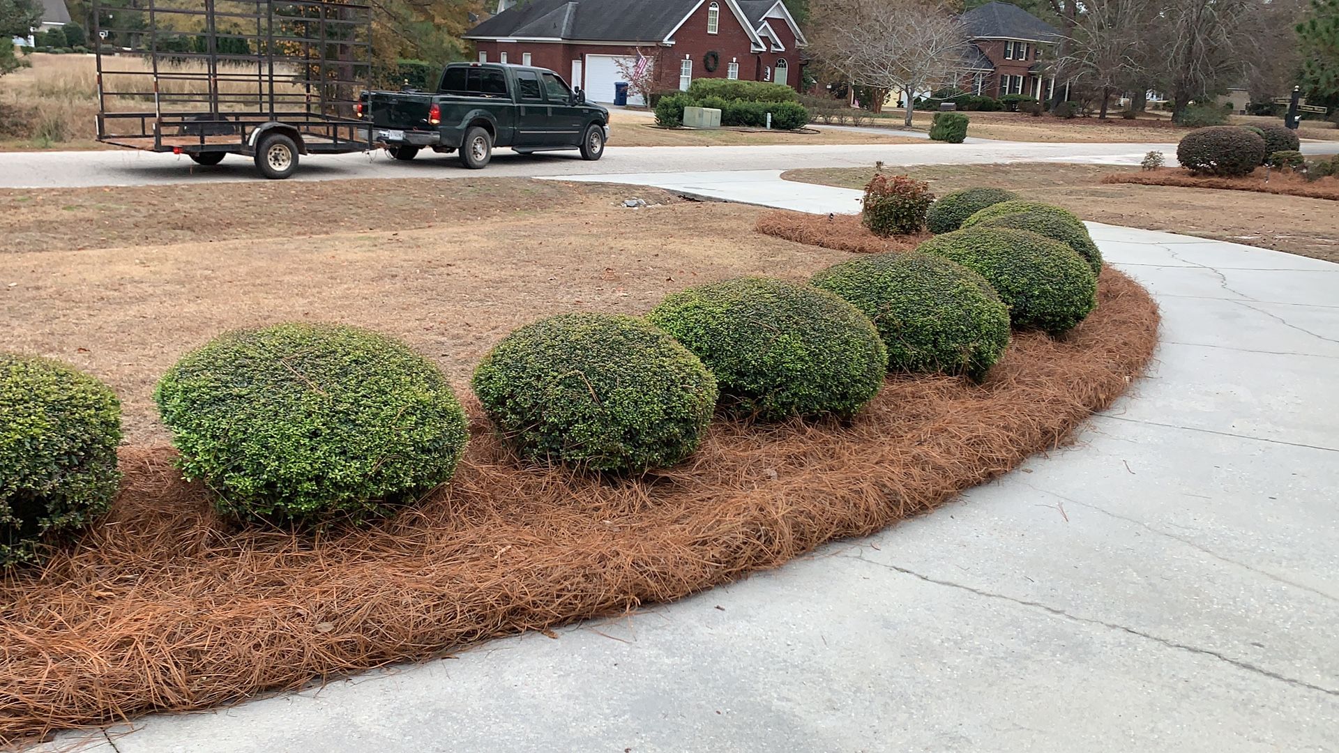 Looking for Pinestraw? You’ve found the place!