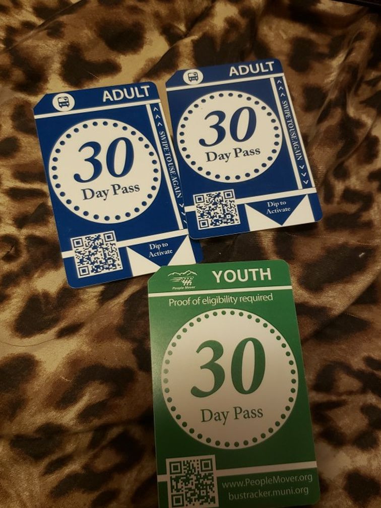 1 Youth Bus Pass