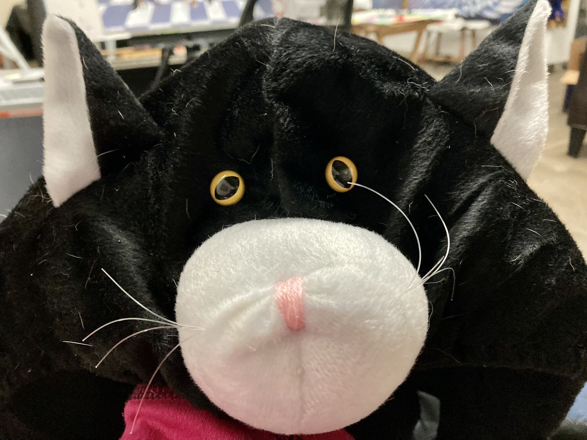 Zack And Zoey Doggone Cat Dog Costume Large