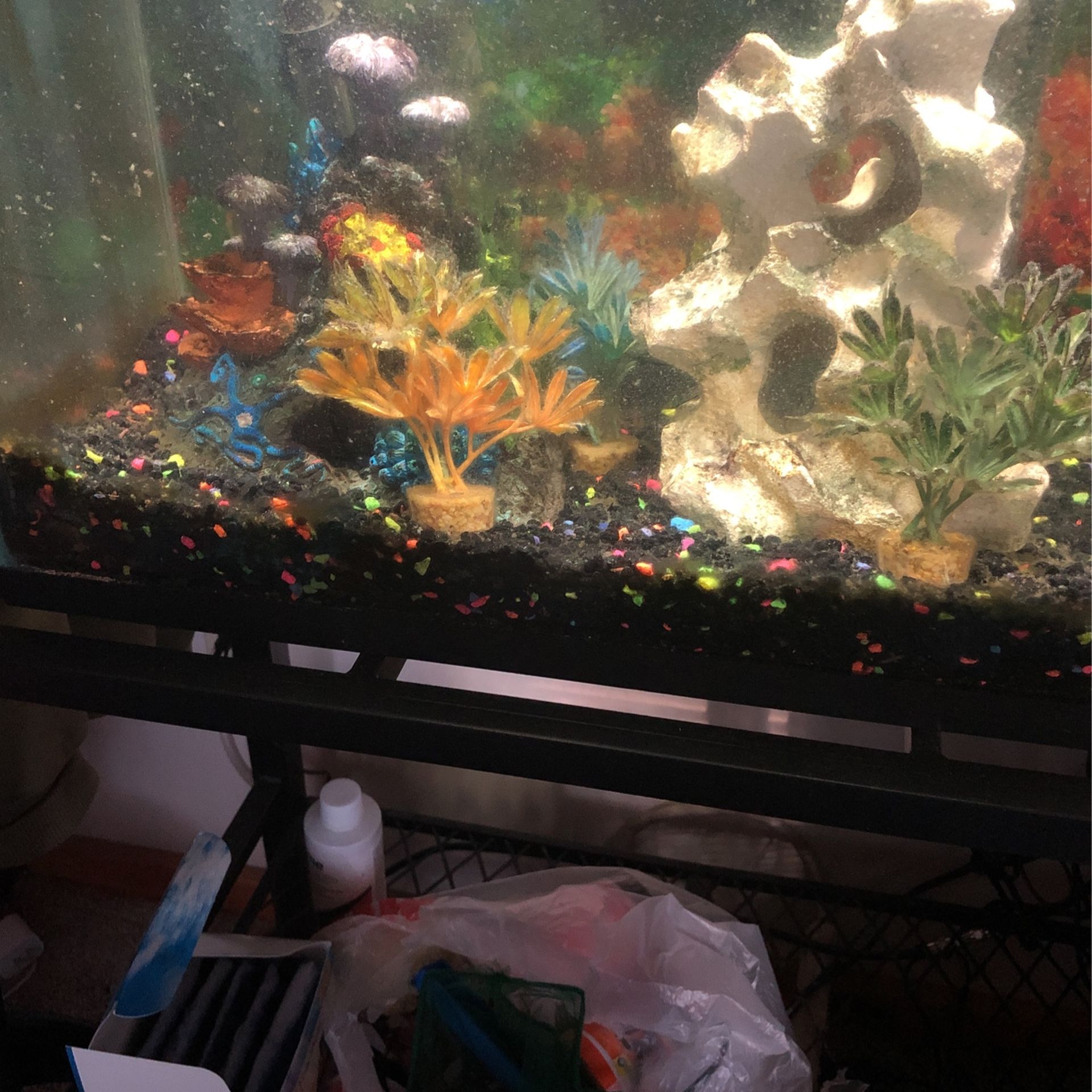 10 Gallon Fish Tank Whit Stand And 1 Fish Cichlid,With 5 Brand New Filter Whit Decorations .