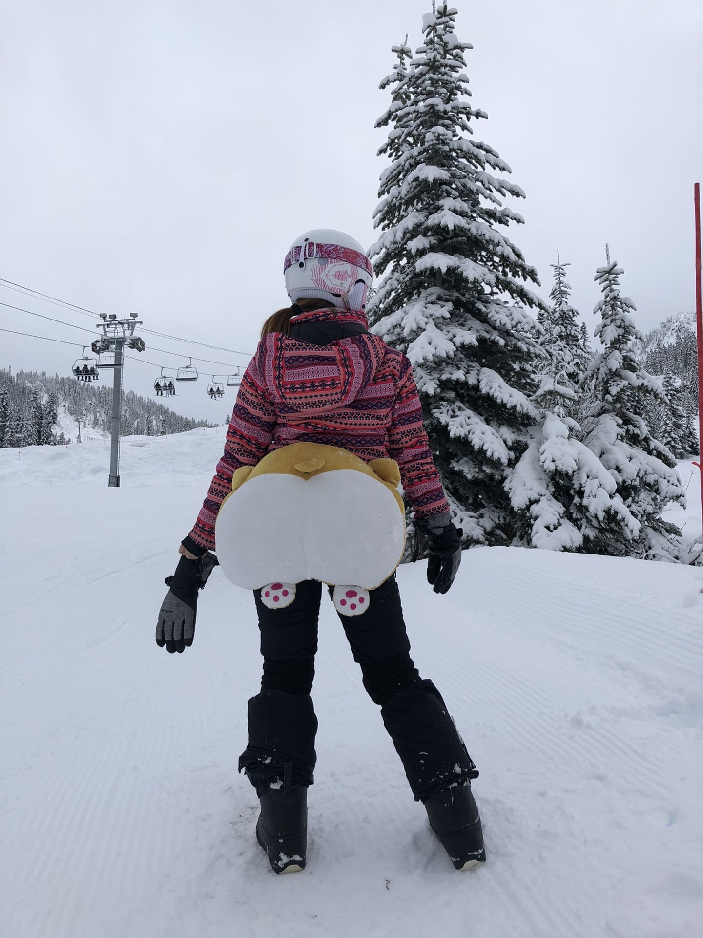 Corgi-butt-shape Hip protection cushions for snow sports!