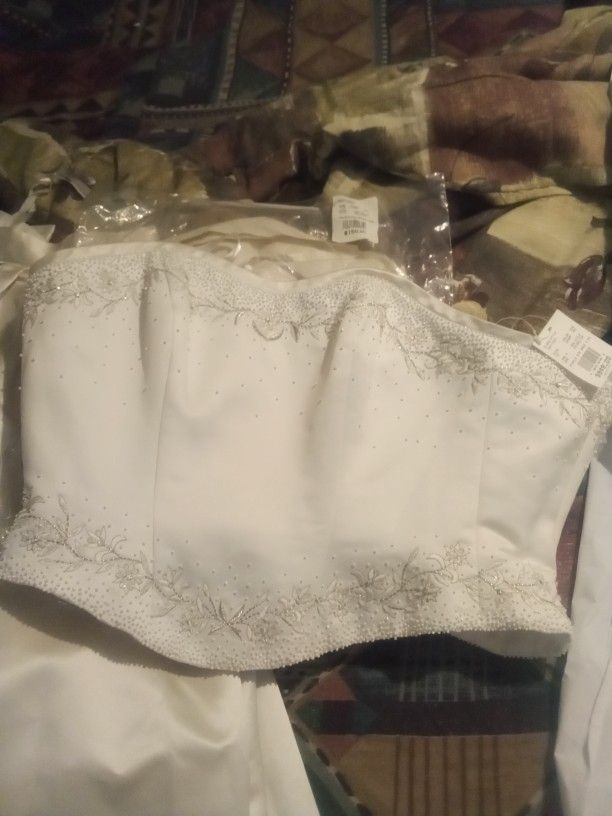 Beautiful Brand New Weeding Dress & Veil