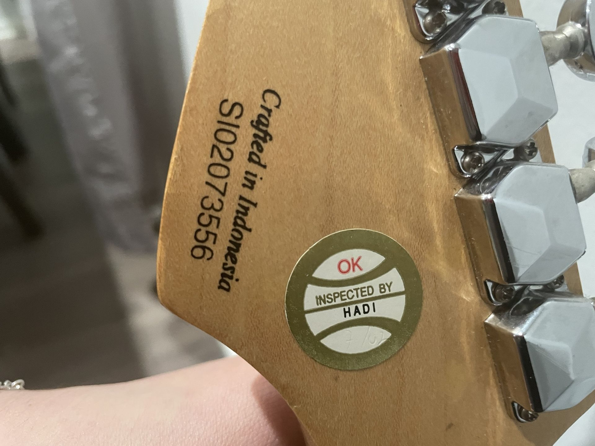 Fender Mini Guitar with Terrapin Gig Bag