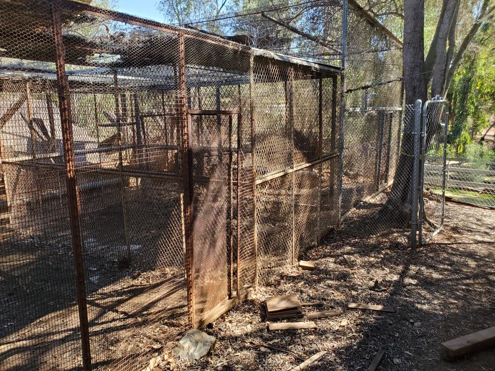 Free Cages