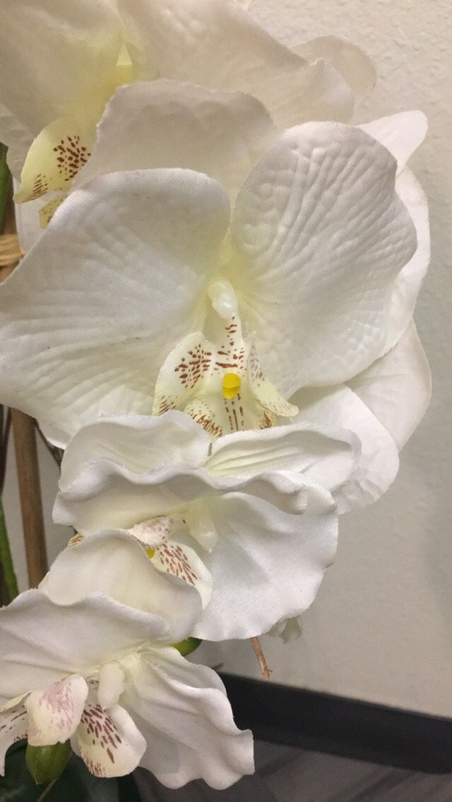 Fake orchid white flower house plant in pot