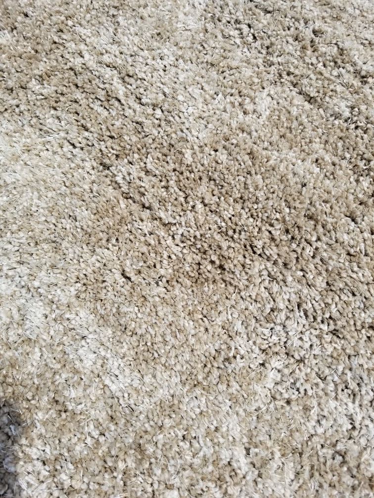 THOMASVILLE MARKETPLACE SAVOY SHAG RUGS 8X10 TAN AREA RUG for Sale in