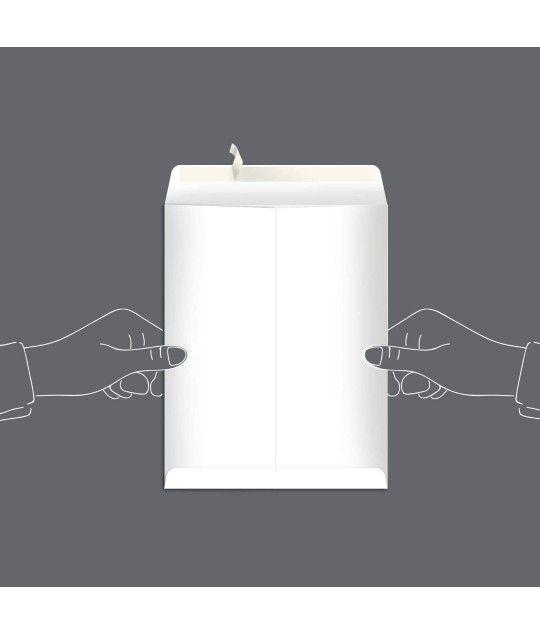 Sobres de correo para catálogo de Amazon Basics, Peel & Seal, 9 x 12 pulgadas, Blanco. Paquete De 250 Sobres
