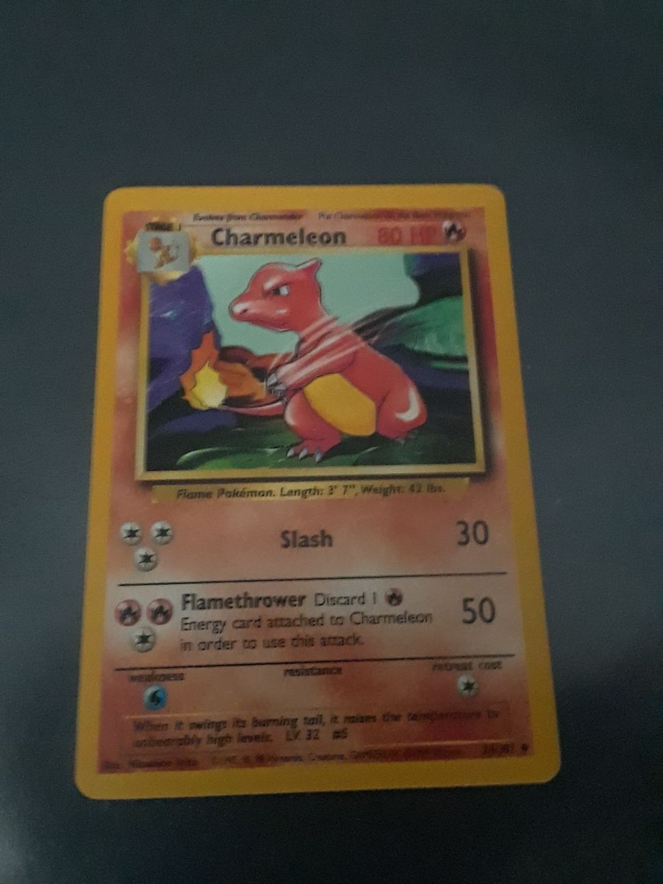 Chameleon Pokemon Card