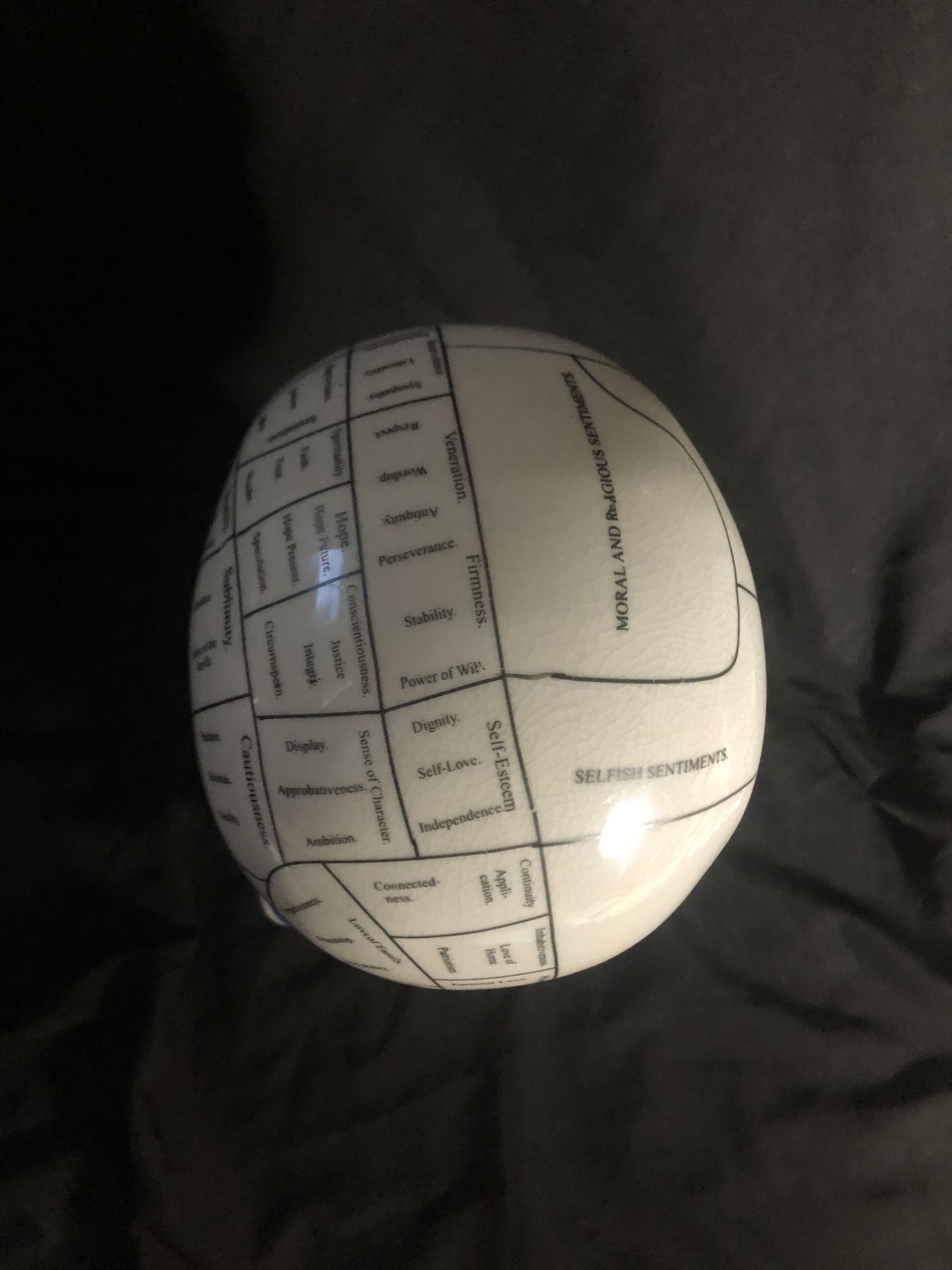 Phrenology Coin Bank Head Ceramic