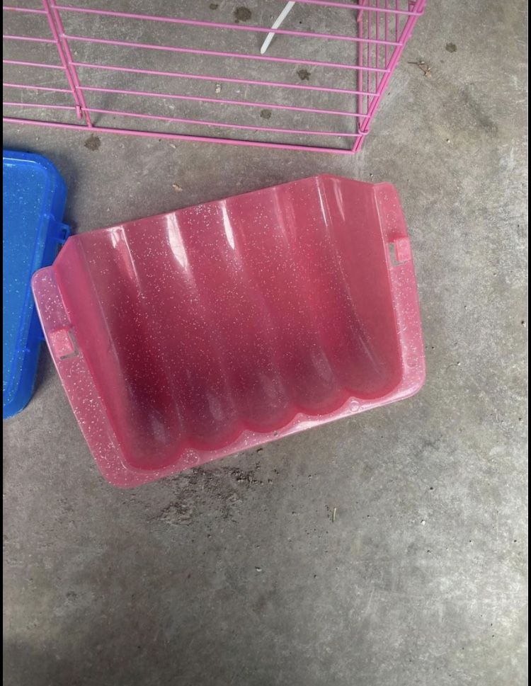 Guinea Pig Starter Cage