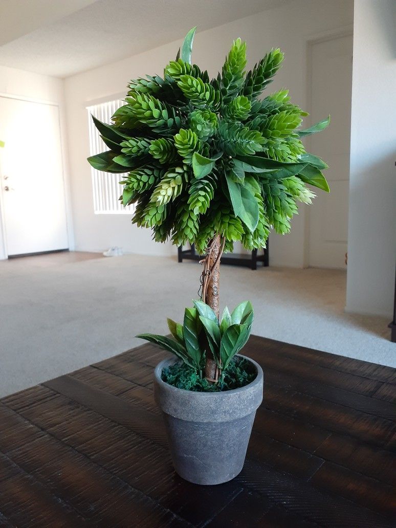 Fake Plant