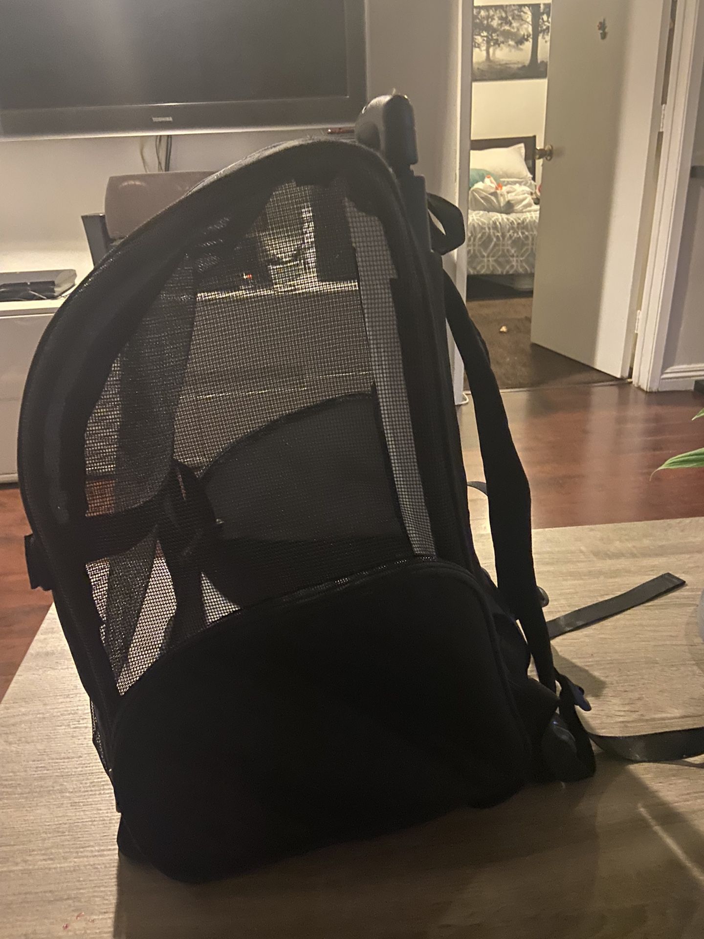 Dog Backpack & Stroller