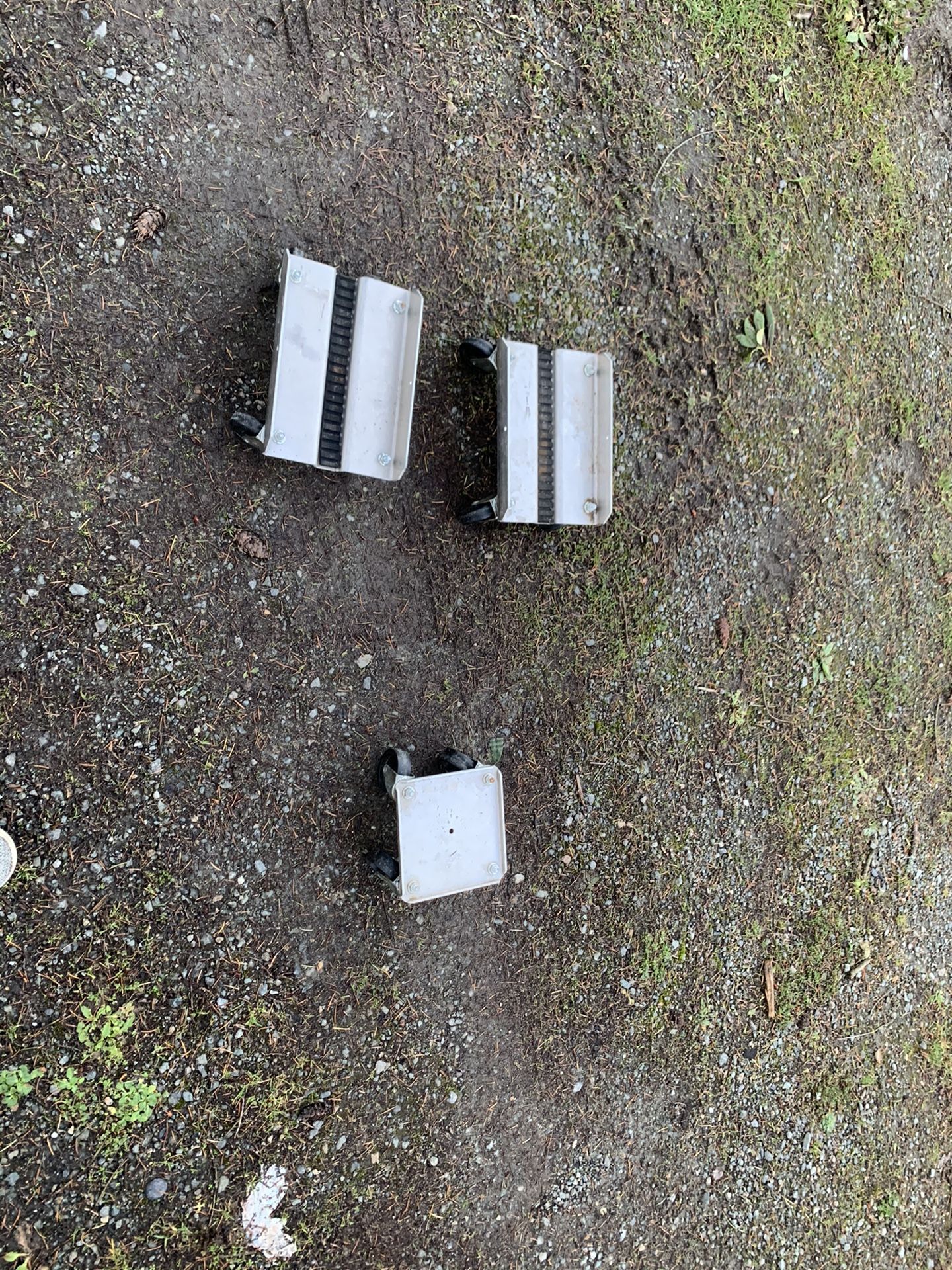 Snowmobile skates