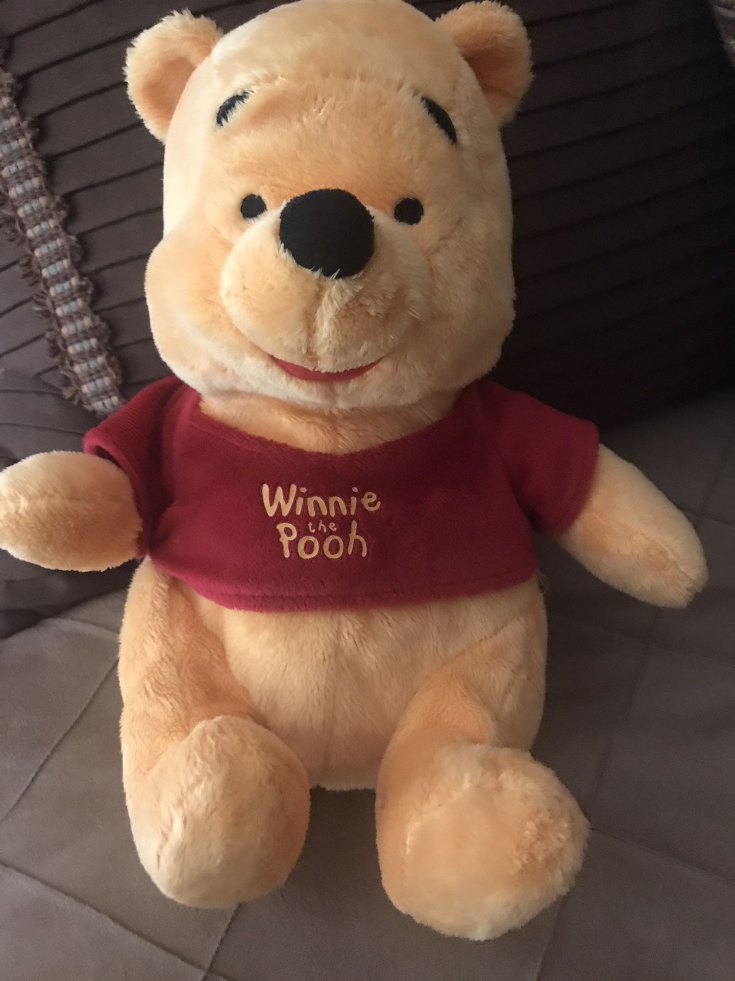 Plush Winnie the Pooh