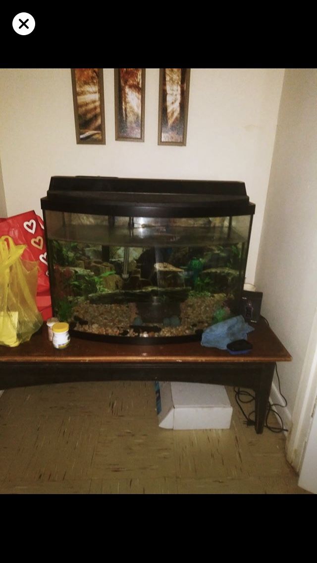36 gallon fish tank