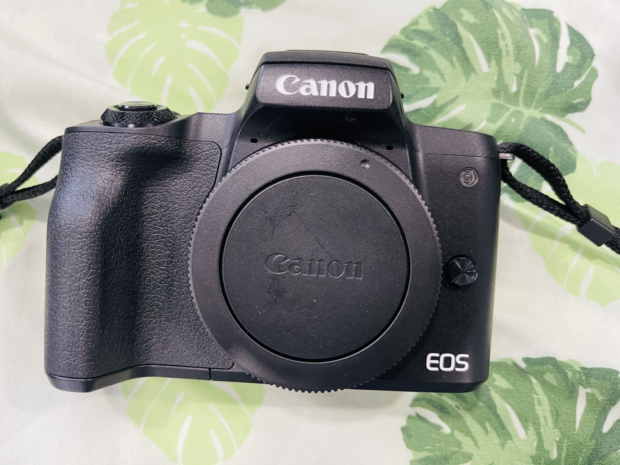 Canon M50 Mirrorless Camera