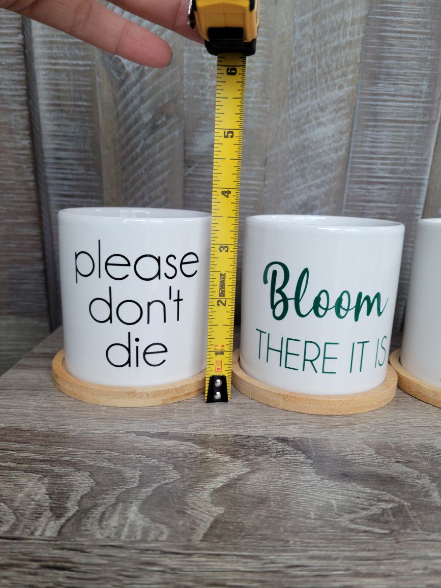 3in Ceramic Plant Pots with Custom Plant Sayings - Funny, Inspirational, Perfect Gifts!