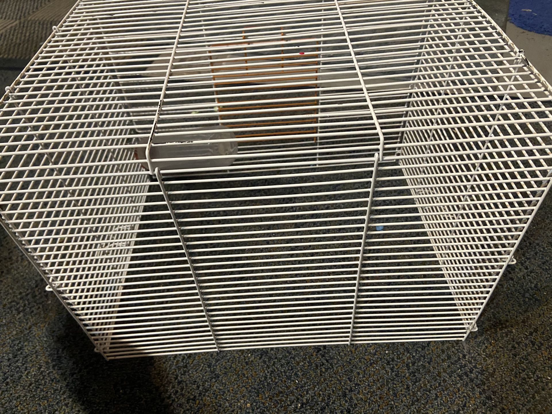 hampser/guinea pig cage