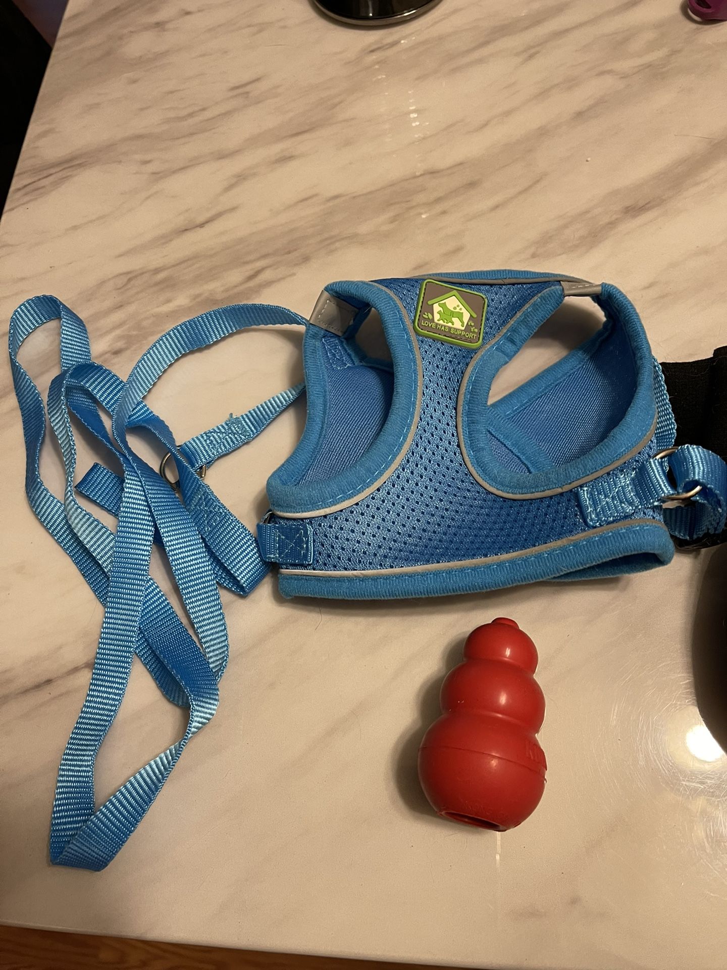 Dog Accessories
