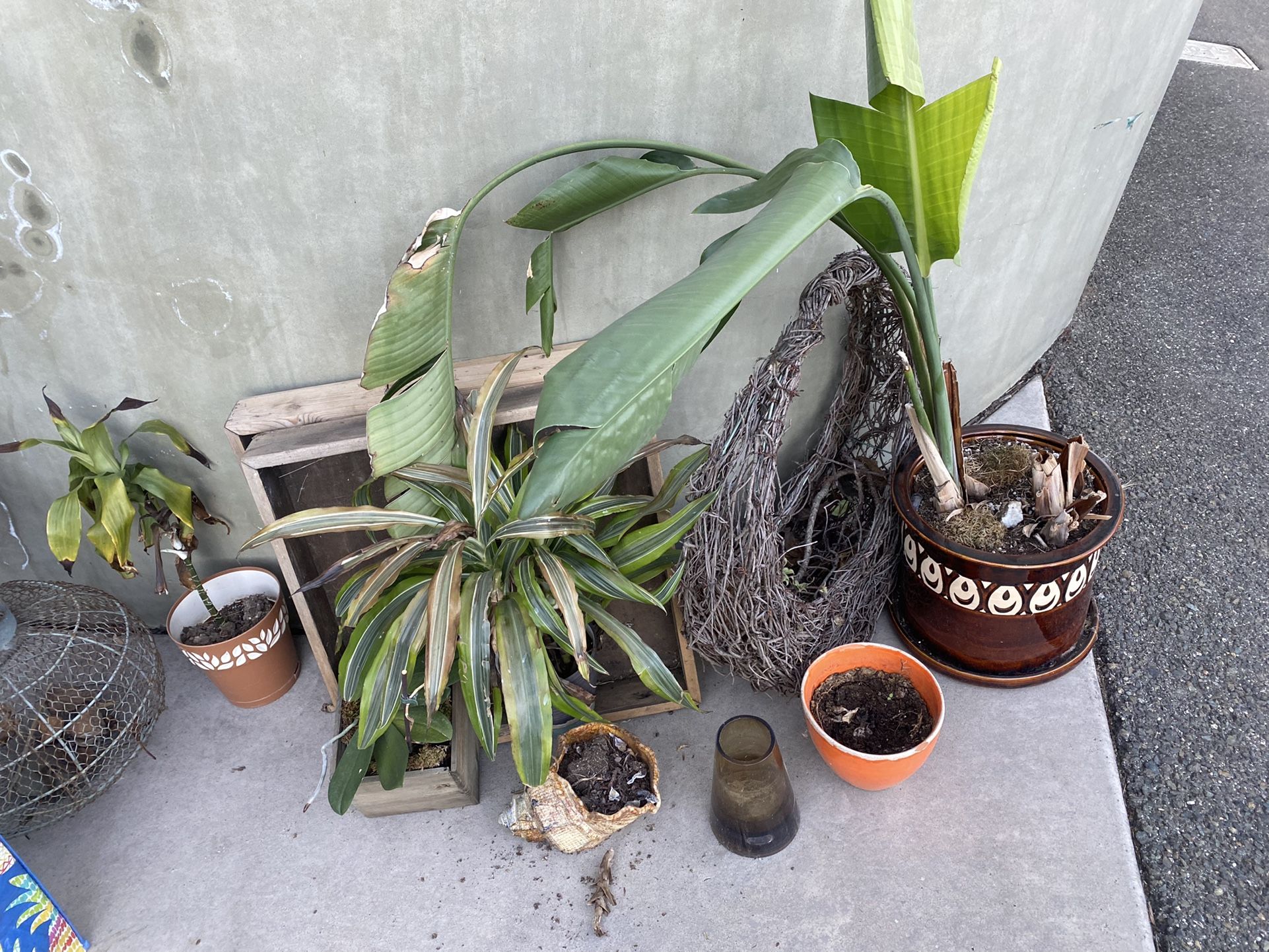 Free- 1926 Oxford Ave Cardiff-