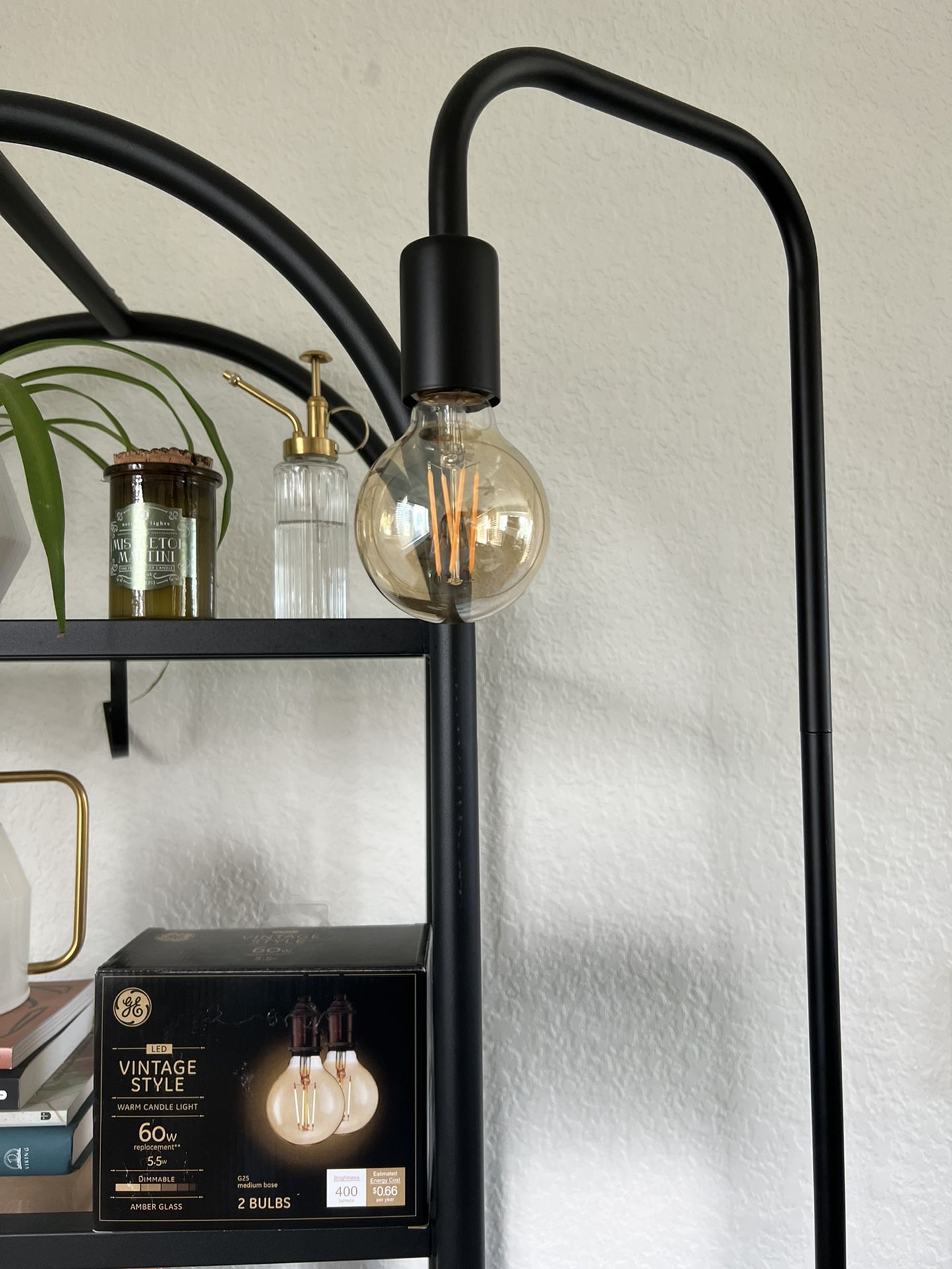 Floor Lamp + Two Light Bulbs